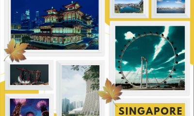 Singapore Photo Collage - Made with PosterMyWall